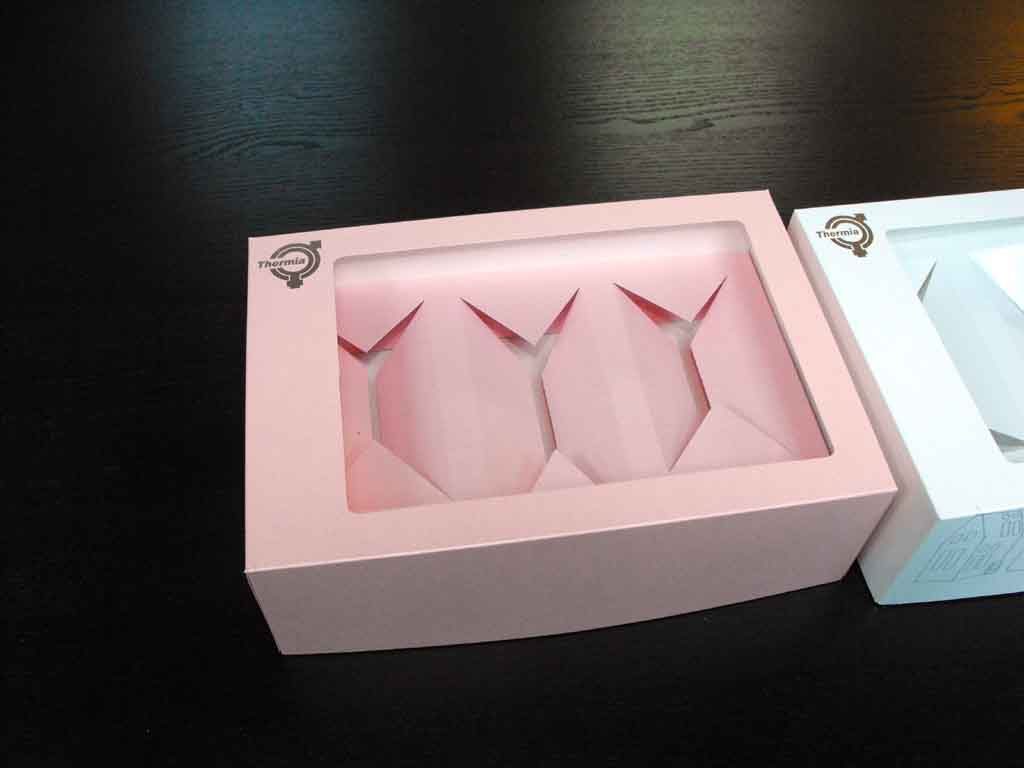 Cutie de carton pentru cadouri cu insert (1)